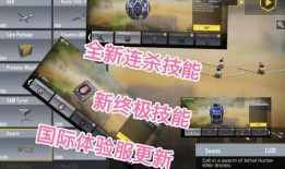 体验服 最新爆料,揭秘神秘新英雄与重大游戏更新